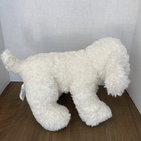 BAB Maltese Dog‎ - Picture 4 of 6